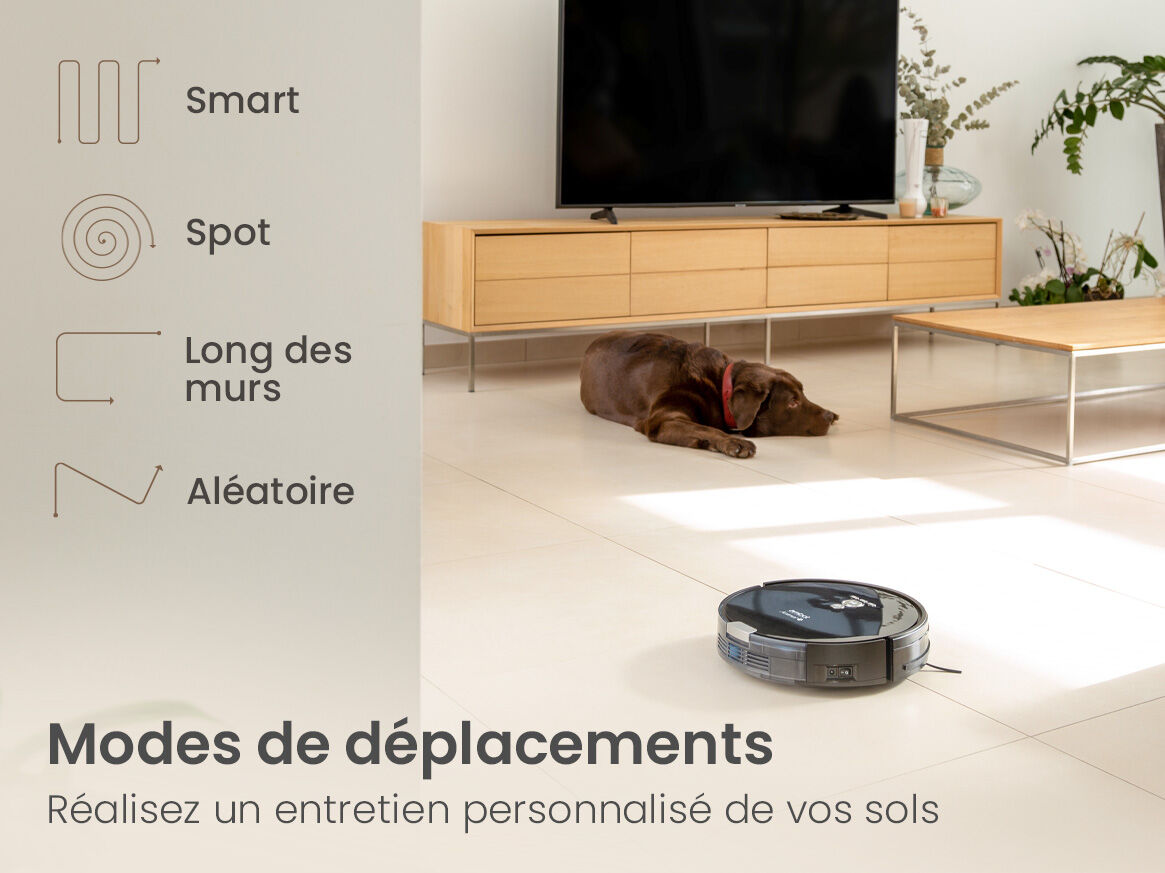 amibot animal mode de déplacements